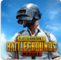 pubg中文版