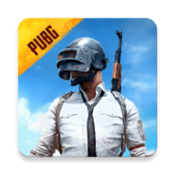 pubg中文版